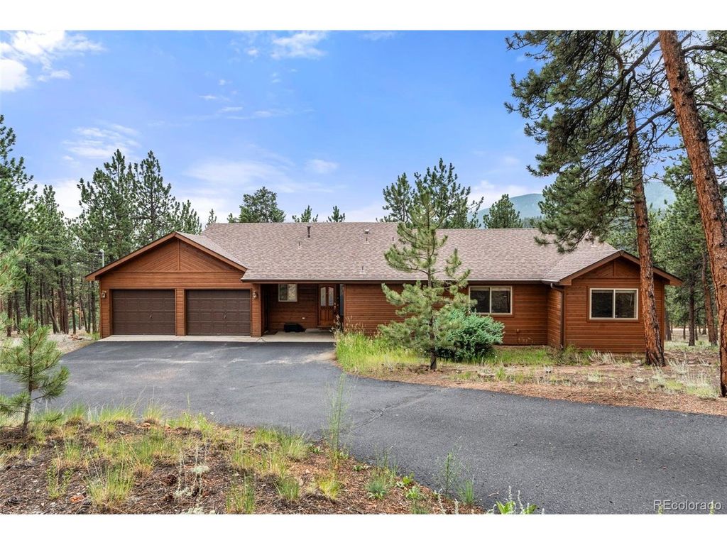 84 Marys Ln, Bailey, CO 80421