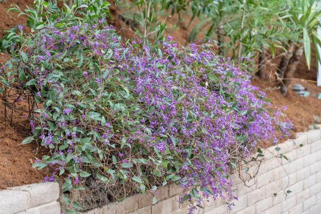 3032 Arguello Drive, Burlingame, CA 94010