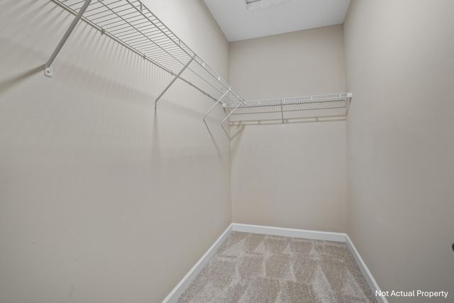 5140 Foxtail Pine Street, Dublin, OH 43016