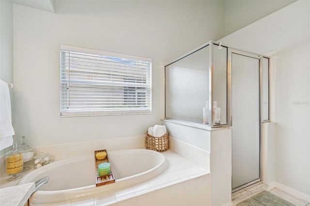 10122 WHISPER POINTE DRIVE, Tampa, FL 33647