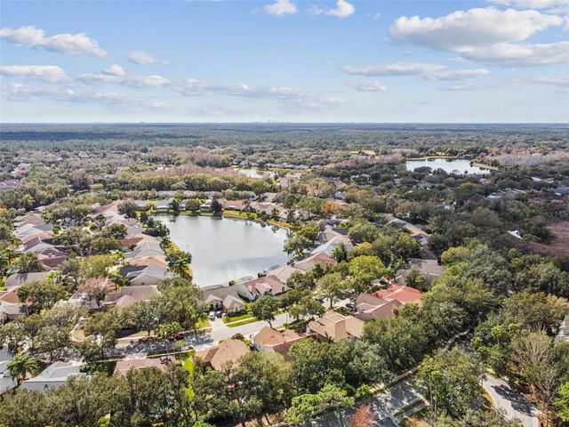 10122 WHISPER POINTE DRIVE, Tampa, FL 33647