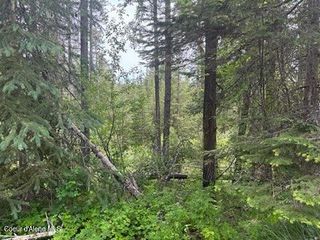 611 Willow Loop, Fernwood, ID 83830