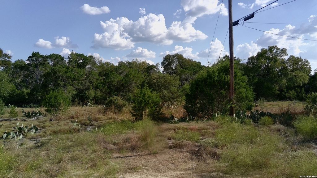 181 BLUE BONNET HILL CIR, Spring Branch, TX 78070
