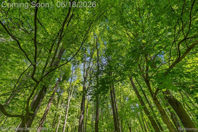 5580 Birch Lane, Davisburg, MI 48350