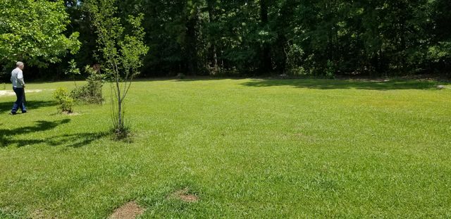 1906 Low Country Highway, Ehrhardt, SC 29081