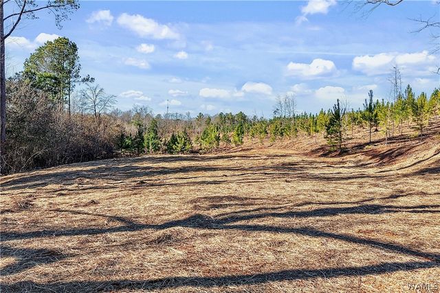 3198 University Way, Centreville, AL 35042