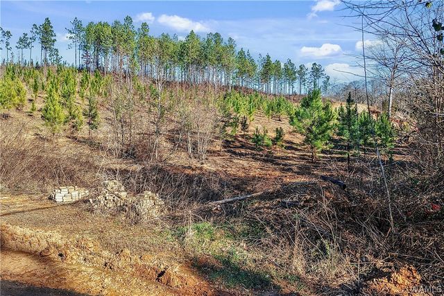 3198 University Way, Centreville, AL 35042