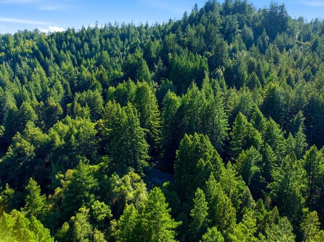 1460 Tucker Road, Scotts Valley, CA 95066