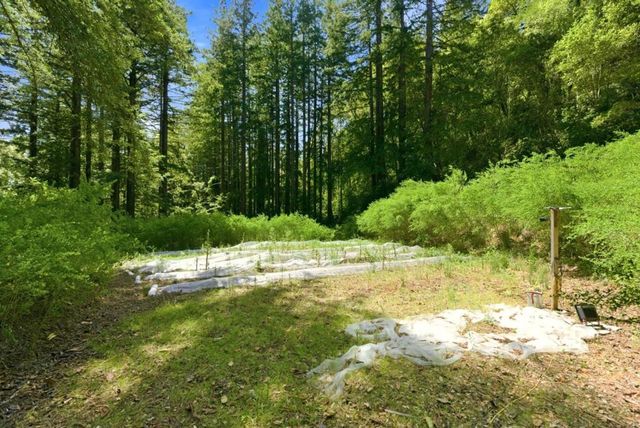1460 Tucker Road, Scotts Valley, CA 95066