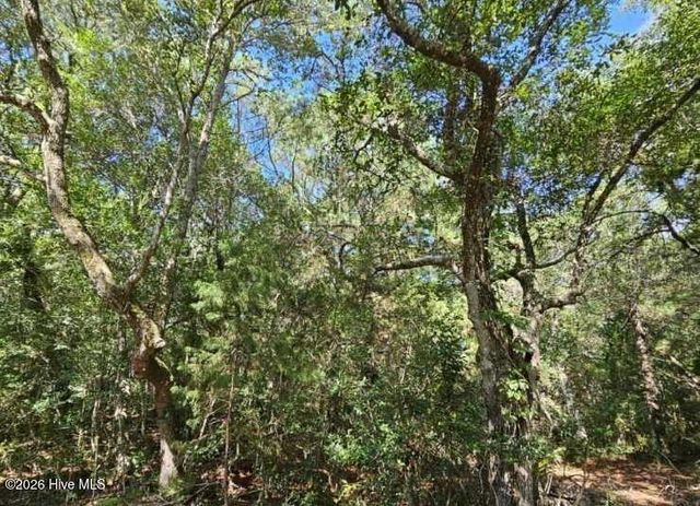 17 Col William Rhett Trail, Southport, NC 28461