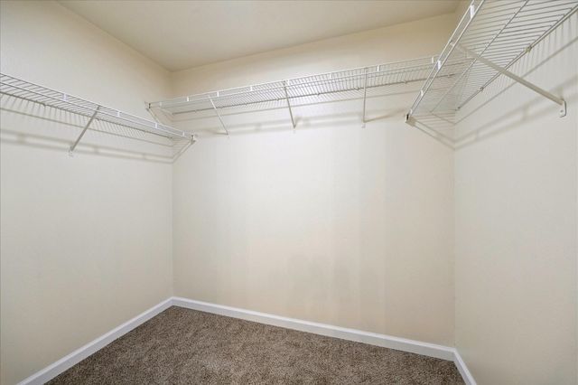 5639 Tiger Lilly Way, Houston, TX 77085