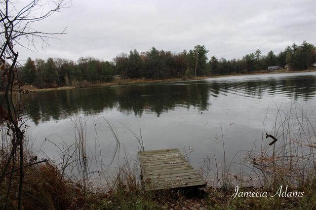 02 S Paris, Idlewild, MI 49642