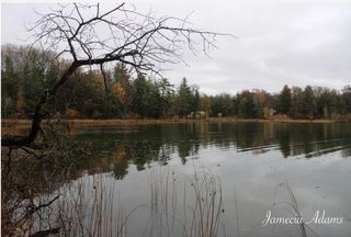 02 S Paris, Idlewild, MI 49642