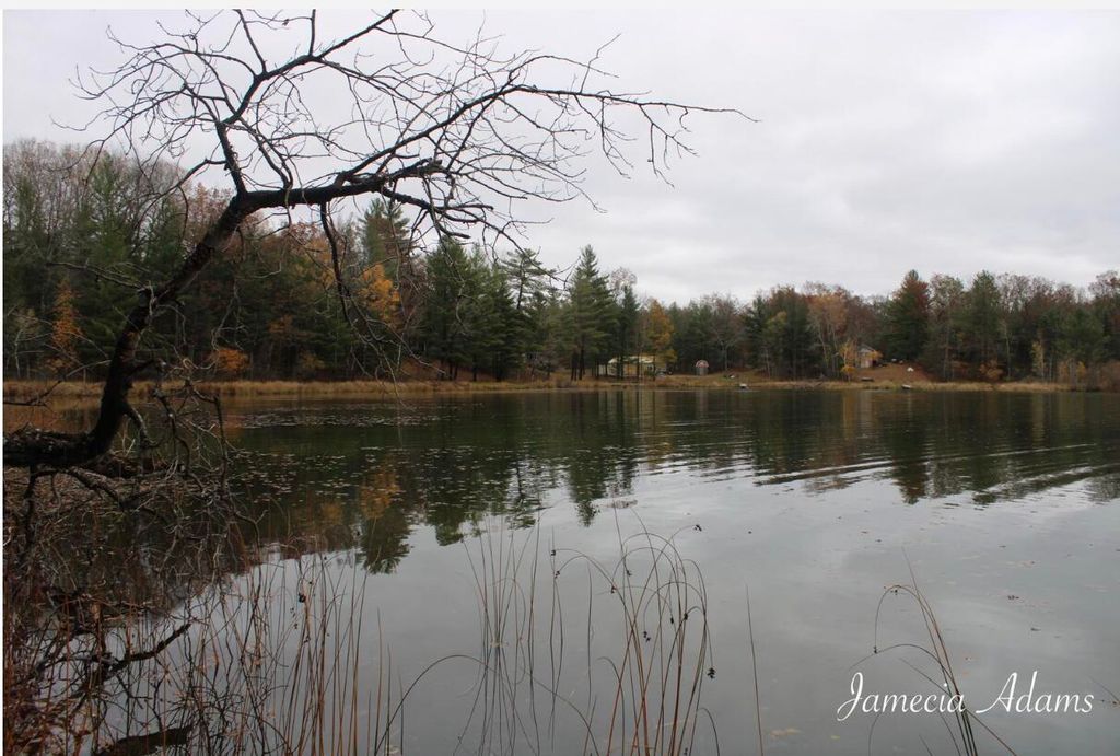 02 S Paris, Idlewild, MI 49642