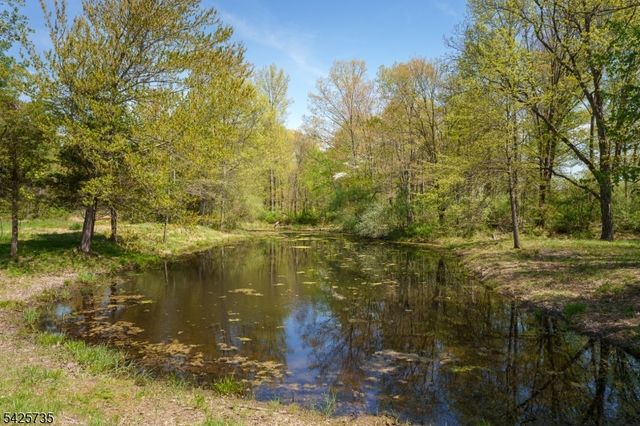 194 Locktown Flemington Rd, Delaware Twp., NJ 08822