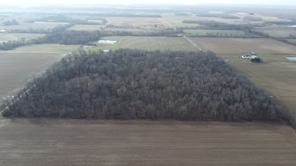 Image 4 of property listing at 0 N Sparrow Lane, Mt Vernon, IL 62864