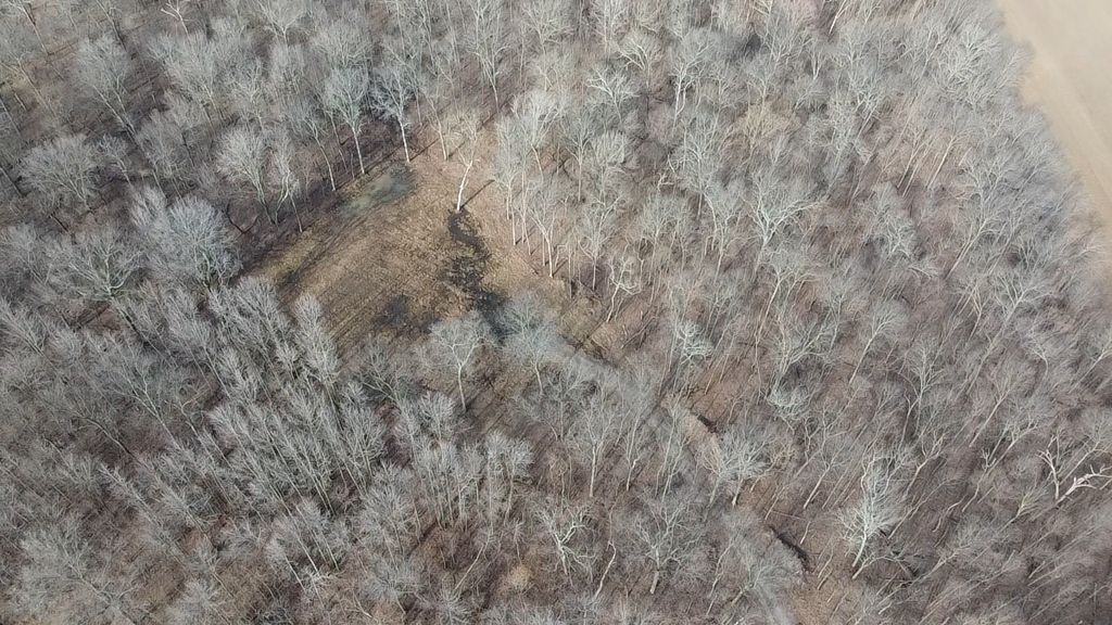 Image 5 of property listing at 0 N Sparrow Lane, Mt Vernon, IL 62864