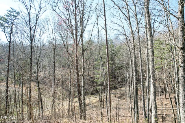 2087 Fodderstack Mountain Loop, Greeneville, TN 37745