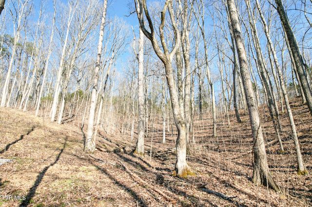 2087 Fodderstack Mountain Loop, Greeneville, TN 37745