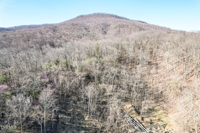 2087 Fodderstack Mountain Loop, Greeneville, TN 37745