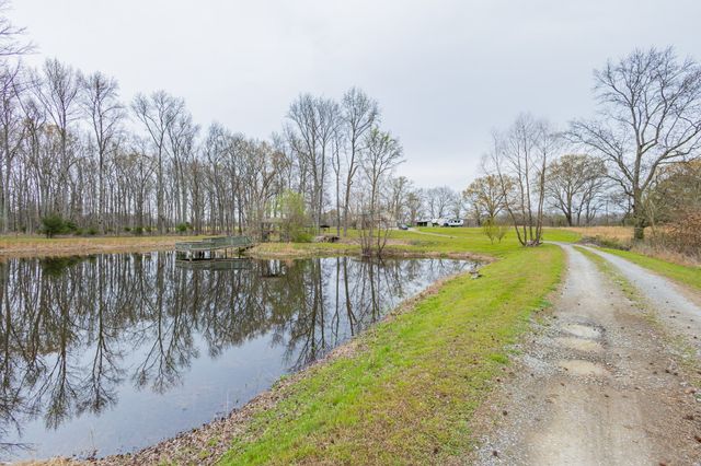 173 Bellview Rd, Taft, TN 38488