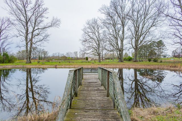 173 Bellview Rd, Taft, TN 38488