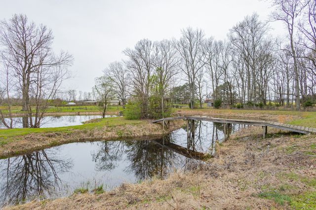 173 Bellview Rd, Taft, TN 38488