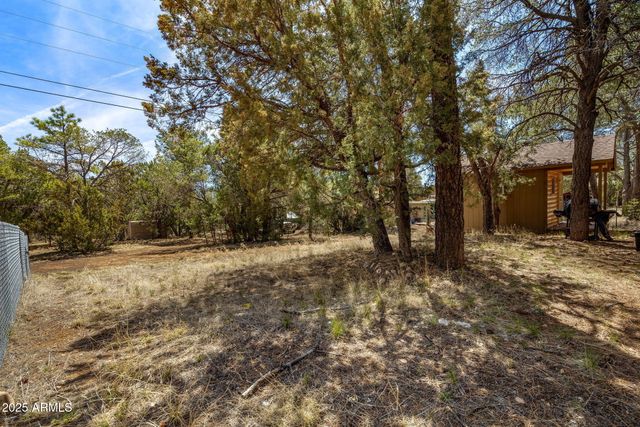 2979 WESTERN STAR Drive, Overgaard, AZ 85933
