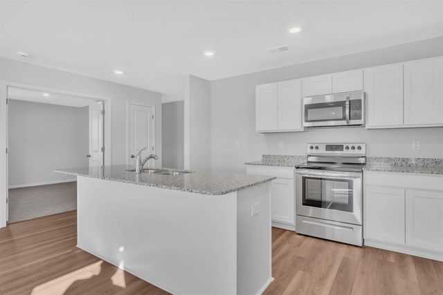 1050 Cherrystone Loop, Conway, SC 29526