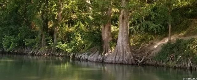 7511 OLD SPRING BRANCH RD, Spring Branch, TX 78070