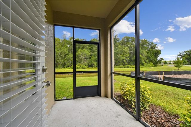 17516 NECTAR FLUME DRIVE, Land O Lakes, FL 34638