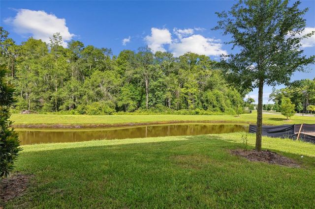 17516 NECTAR FLUME DRIVE, Land O Lakes, FL 34638