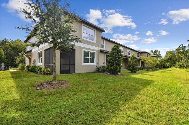 17516 NECTAR FLUME DRIVE, Land O Lakes, FL 34638