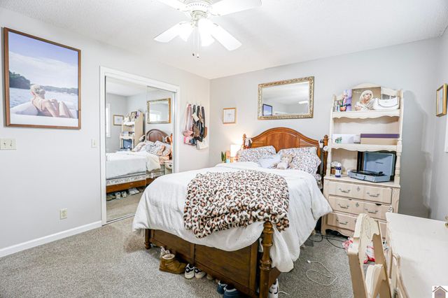 206 Metcalf Lane, Almo, KY 42020