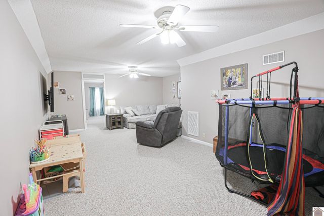 206 Metcalf Lane, Almo, KY 42020