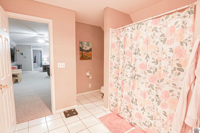 206 Metcalf Lane, Almo, KY 42020