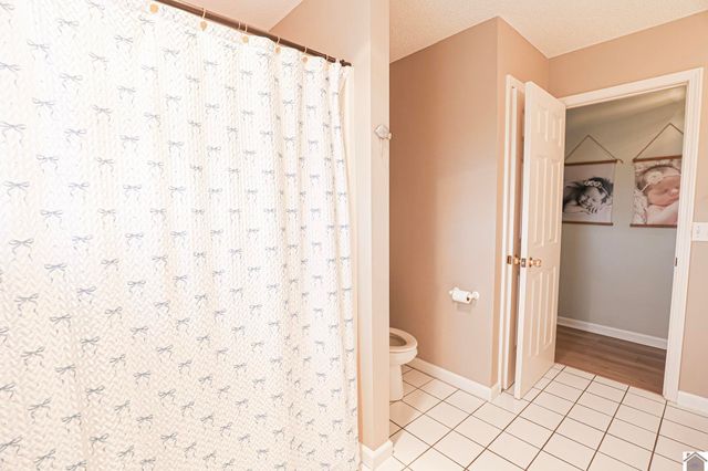 206 Metcalf Lane, Almo, KY 42020