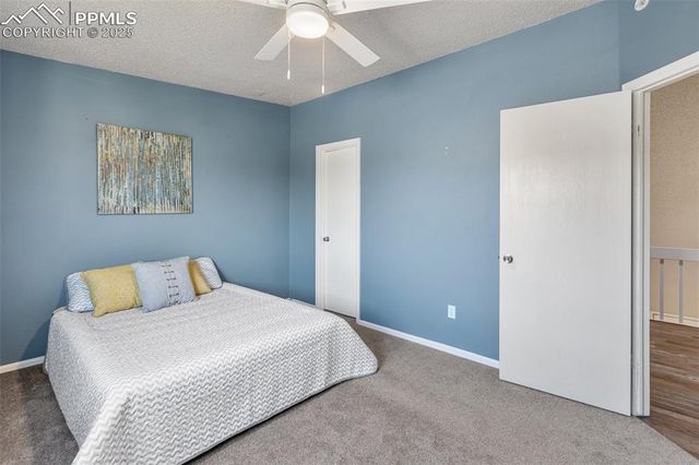 5555 Denmark Court, Colorado Springs, CO 80918