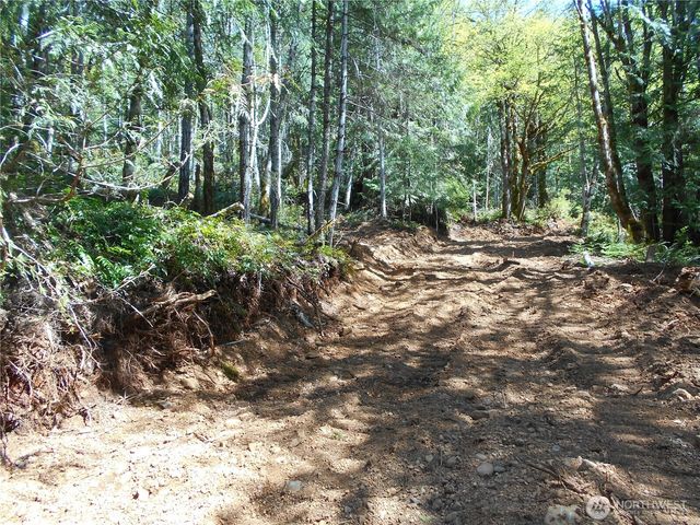 0 Dragonfly Place, Brinnon, WA 98320