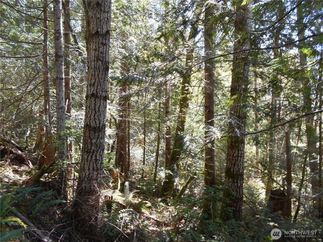 0 Dragonfly Place, Brinnon, WA 98320