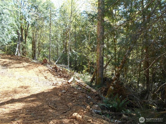 0 Dragonfly Place, Brinnon, WA 98320