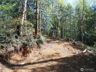 0 Dragonfly Place, Brinnon, WA 98320
