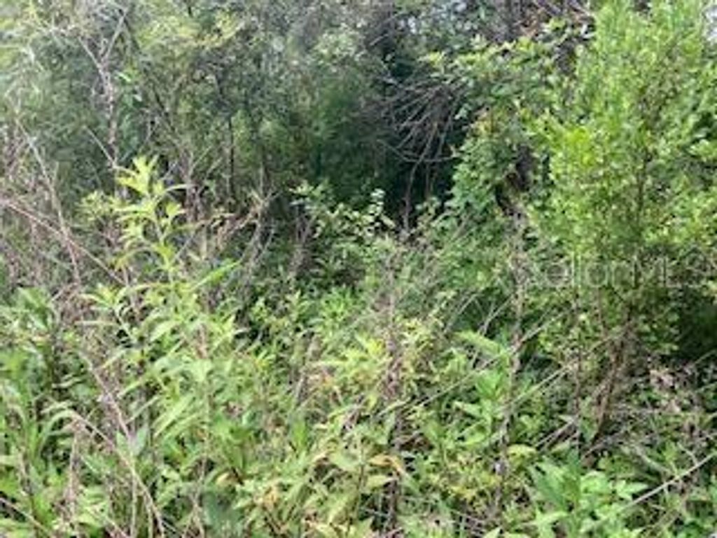 SWEETWATER TRAIL, Kissimmee, FL 34747