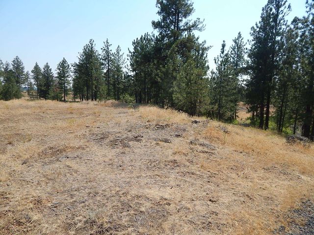 249014 W Kitt Rd, Reardan, WA 99029