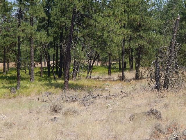 249014 W Kitt Rd, Reardan, WA 99029