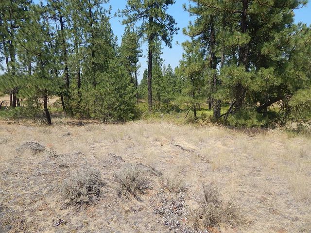 249014 W Kitt Rd, Reardan, WA 99029