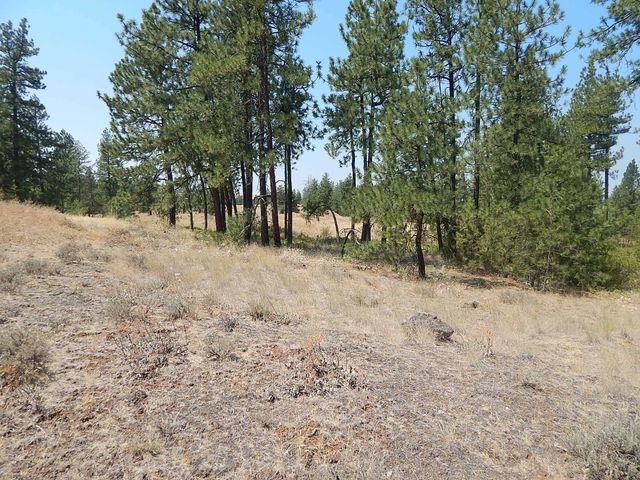 249014 W Kitt Rd, Reardan, WA 99029