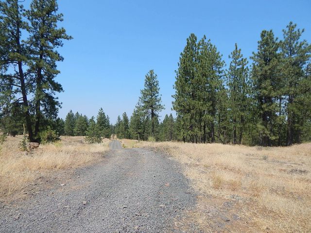 249014 W Kitt Rd, Reardan, WA 99029