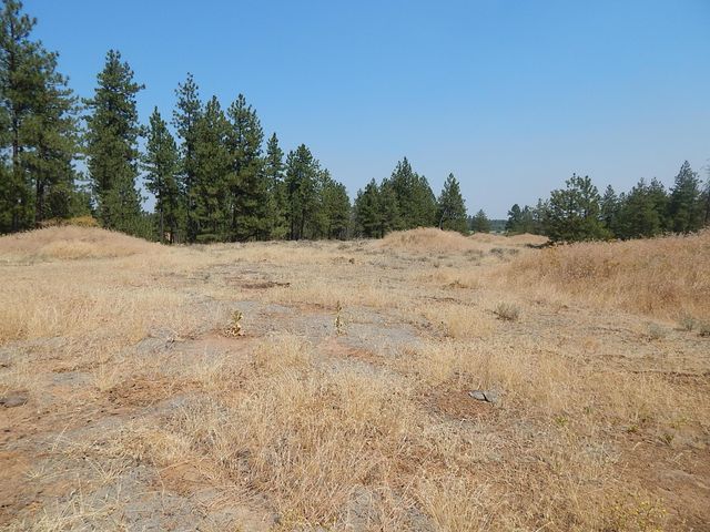 249014 W Kitt Rd, Reardan, WA 99029