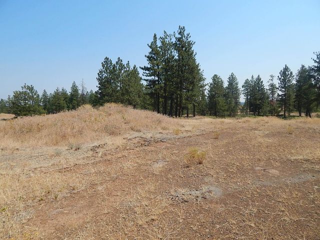 249014 W Kitt Rd, Reardan, WA 99029